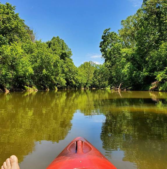 Meet your Posher, Lisa - Picture 1 of 1